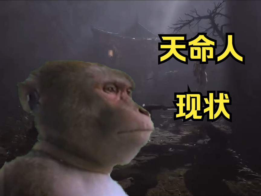 职场黑神话：ta竟让天命打工人秒变苦命猴子